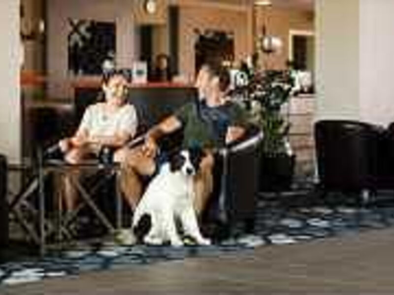 Gotth'Art Hotel