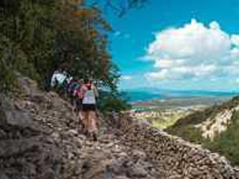 Bike, Nordic Walking & Schiff