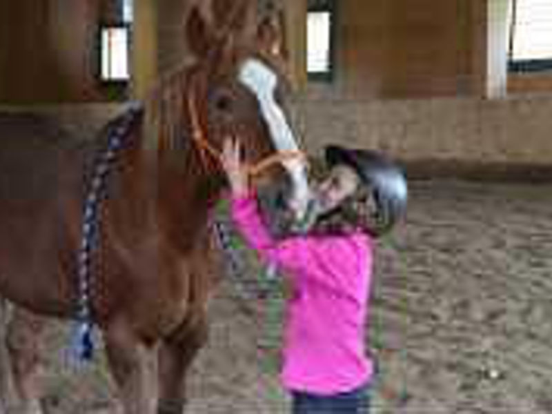 Hotel Ferien- und Reitanlage Altachhof