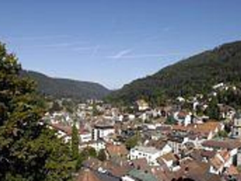 Hotel Bergfrieden