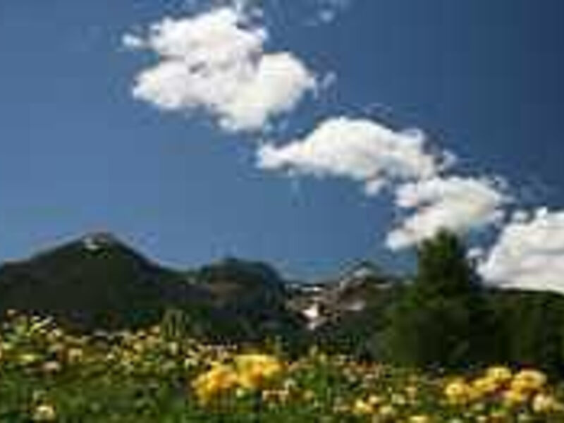 Hotel Dolomiti Chalet