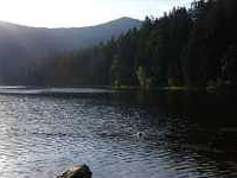 Hotel Waldhotel Seebachschleife - FS only