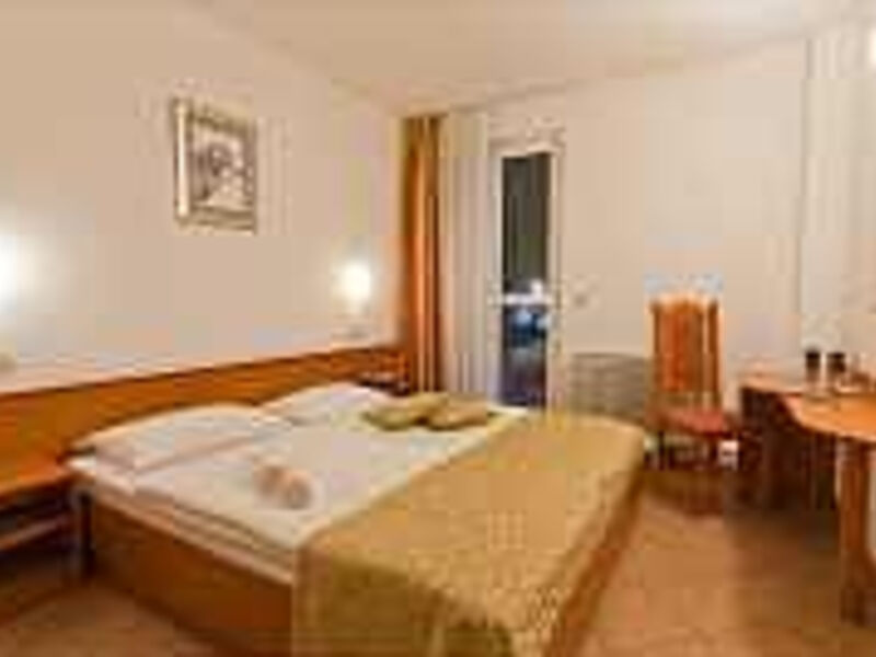 Hotel Drazica
