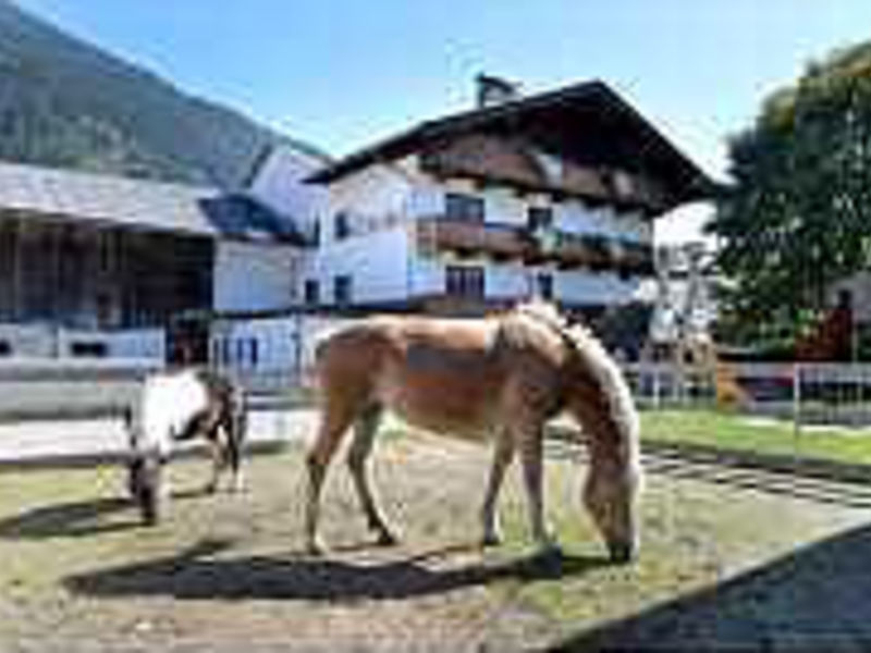 Pension Traube