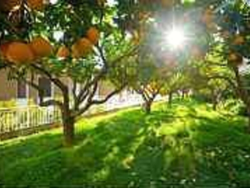Residence Sant'Anna