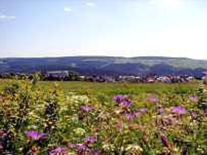 Werrapark Resort Hotel Frankenblick