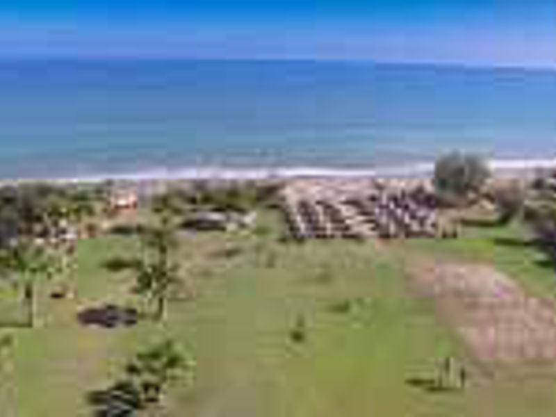 Acacia Resort