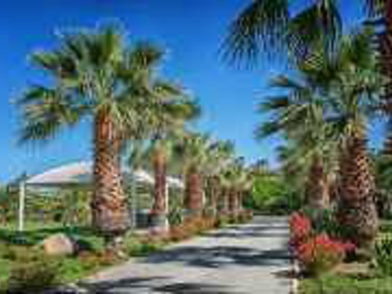 Acacia Resort