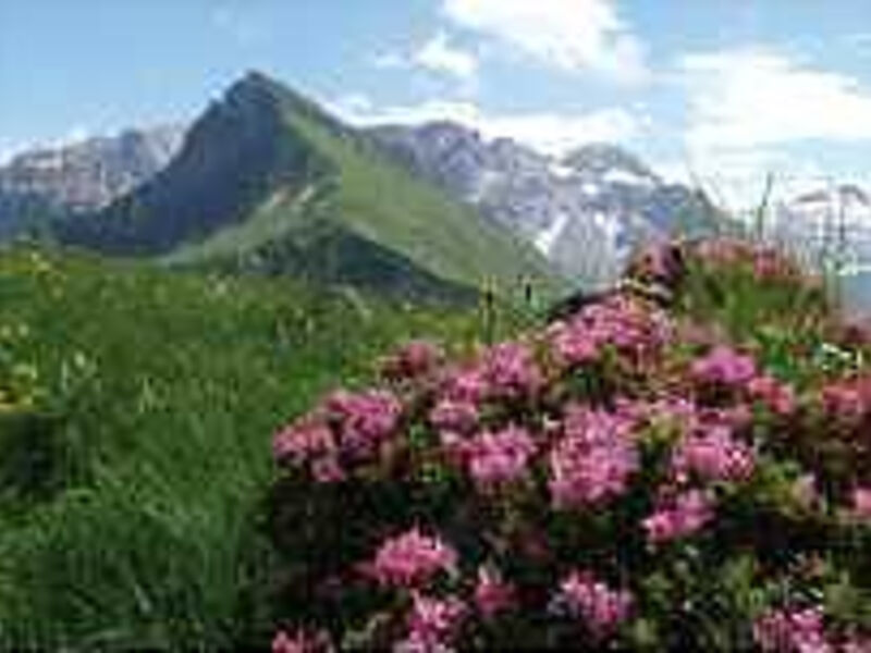 Alpenhotel Mittagspitze