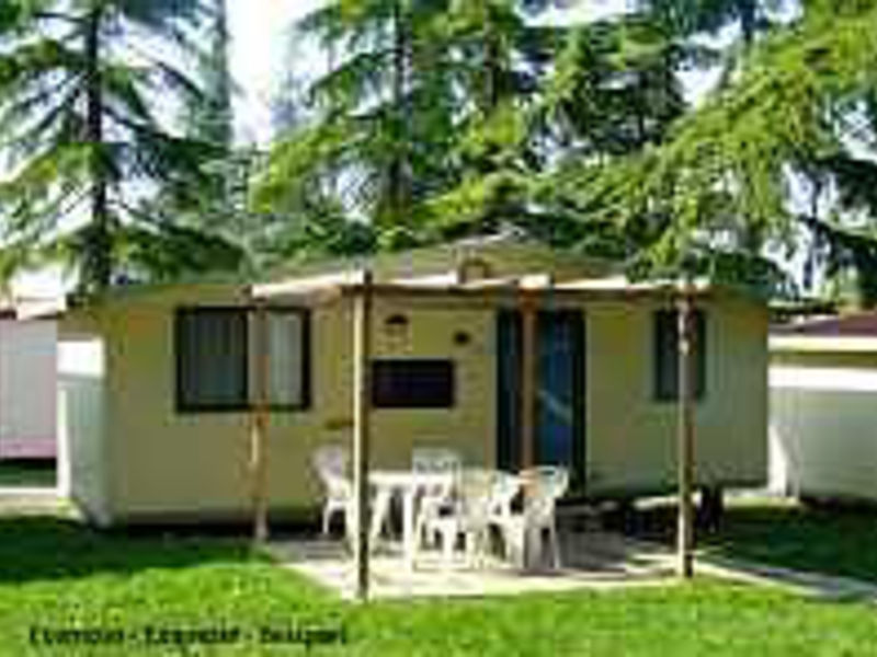 Camping San Benedetto-Vecchio Mulino