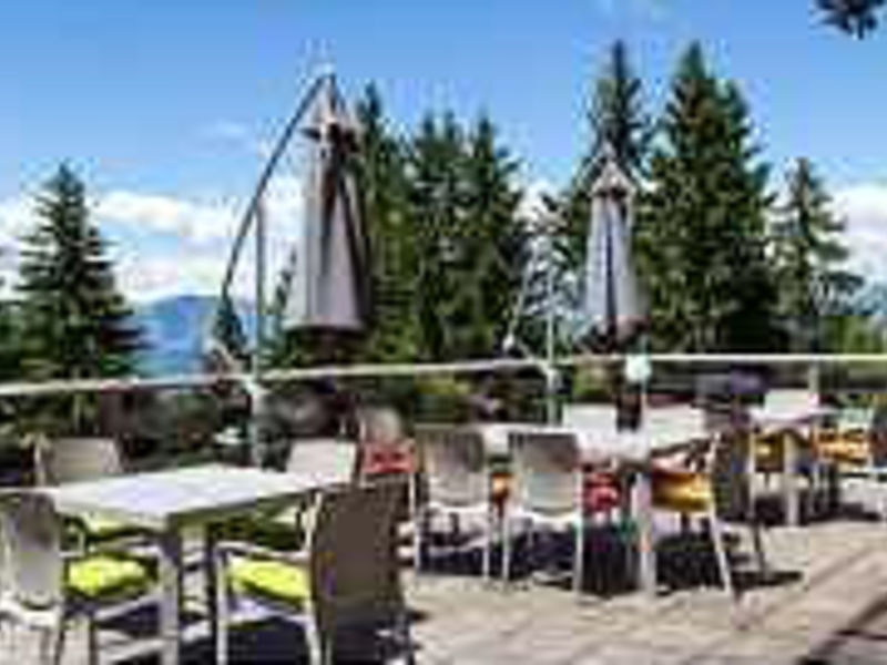 Hotel Alpine Mugon