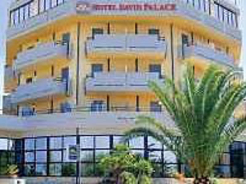 Hotel David Palace