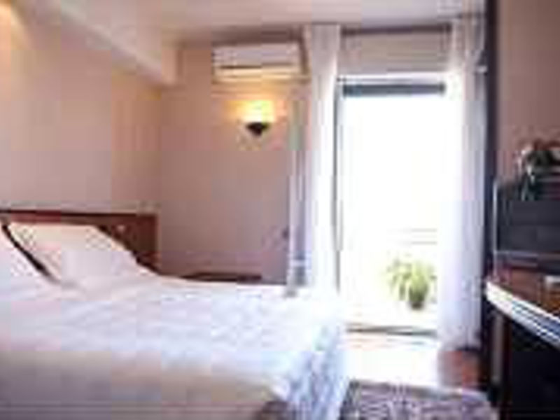 Hotel David Palace