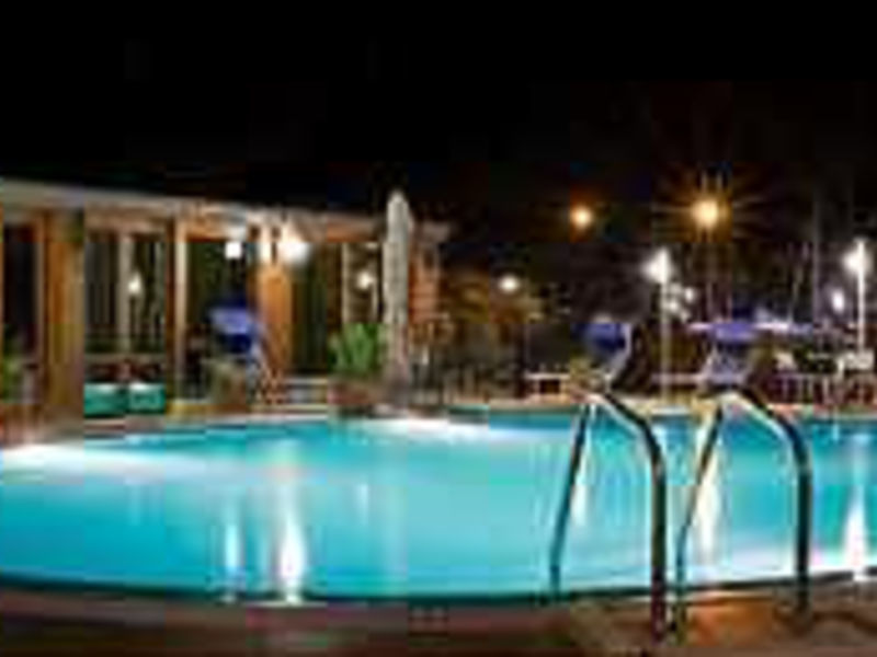 Hotel David Palace