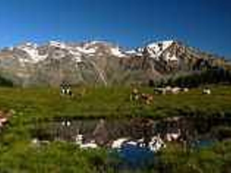 Hotel Domina Parco dello Stelvio