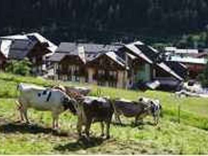 Hotel Domina Parco dello Stelvio