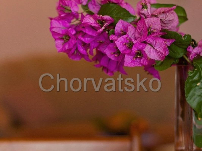 Apartmány Elite