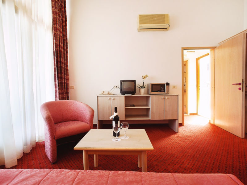 Hotel Vile Park