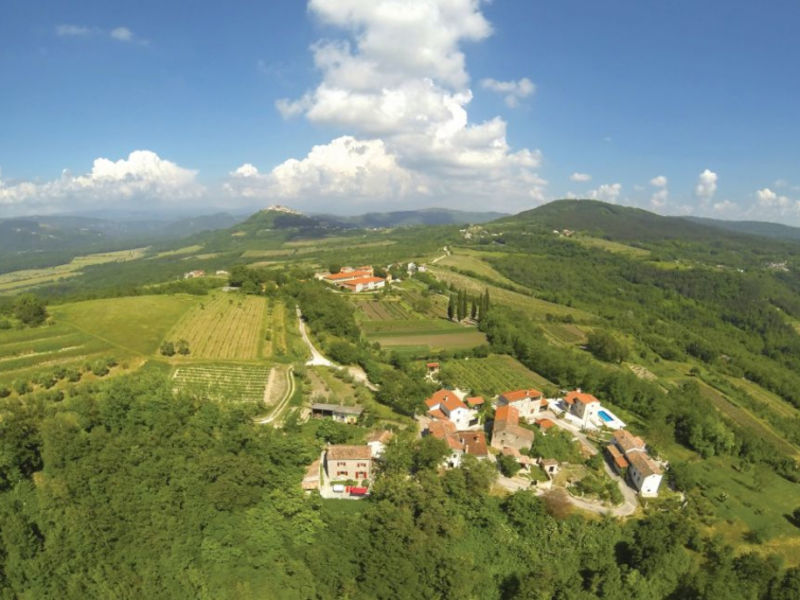 Monte