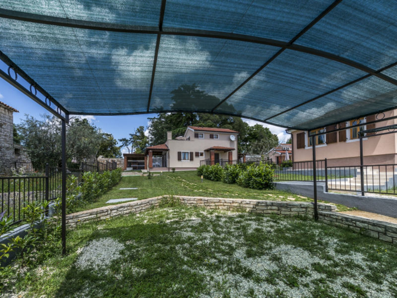 Orhidea