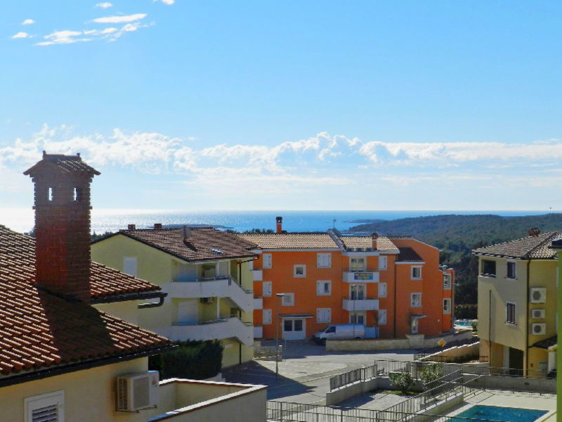 Suncokret