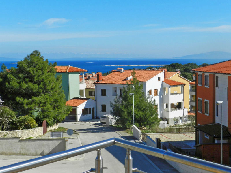 Suncokret