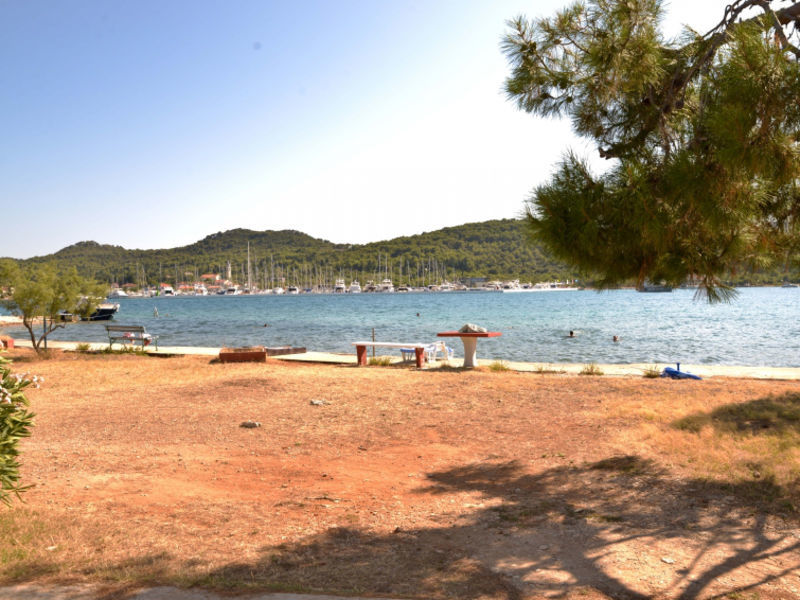 Punta