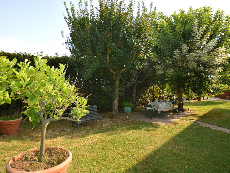 Edera & Tulipano