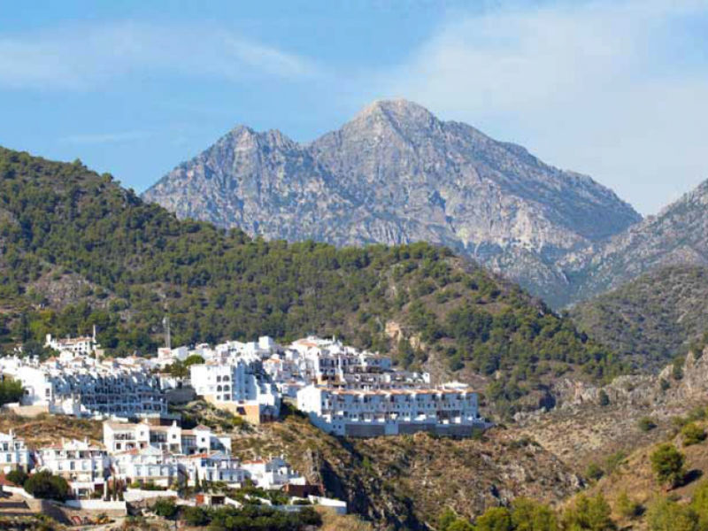 El Torin