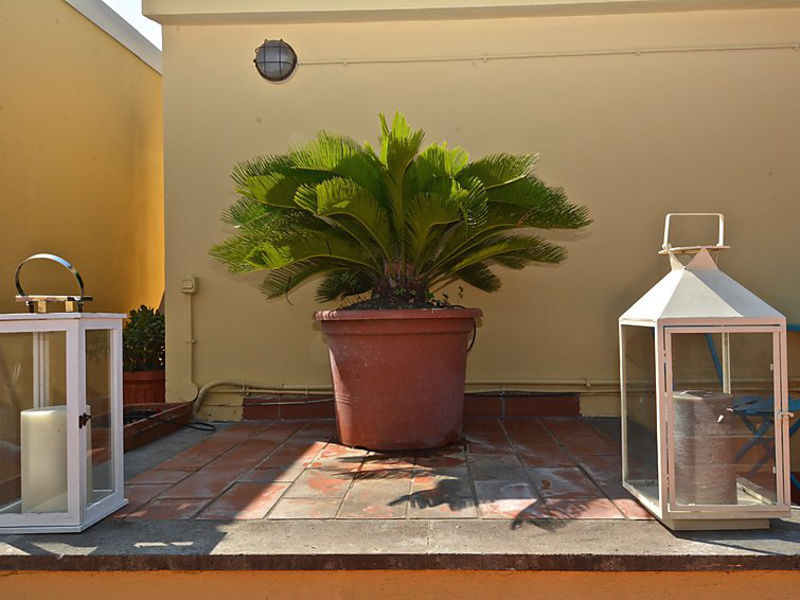 Vatican Family 1br Apartment