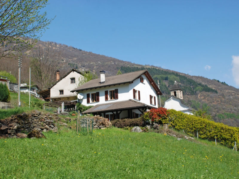 Castoi