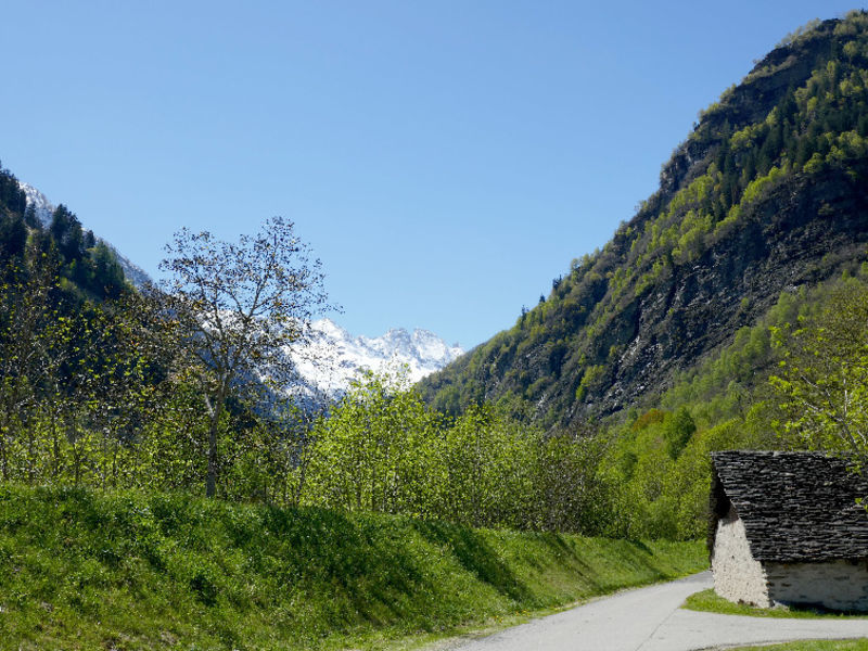 Cüróni