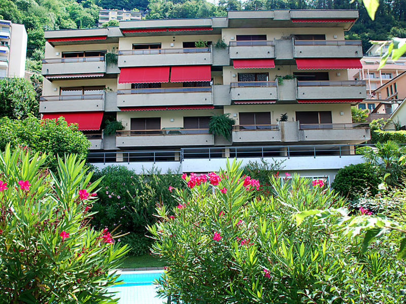 Le Palme