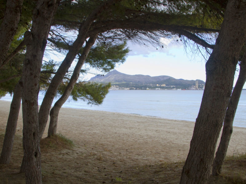 Xisca