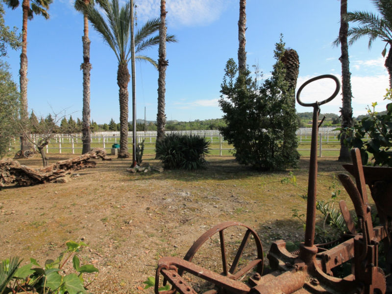 Es Cavalls