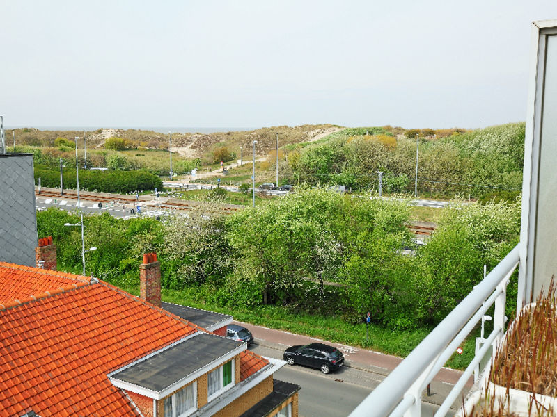 Wilde Zee