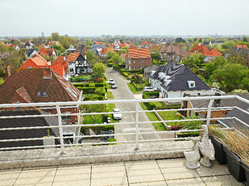 Wilde Zee