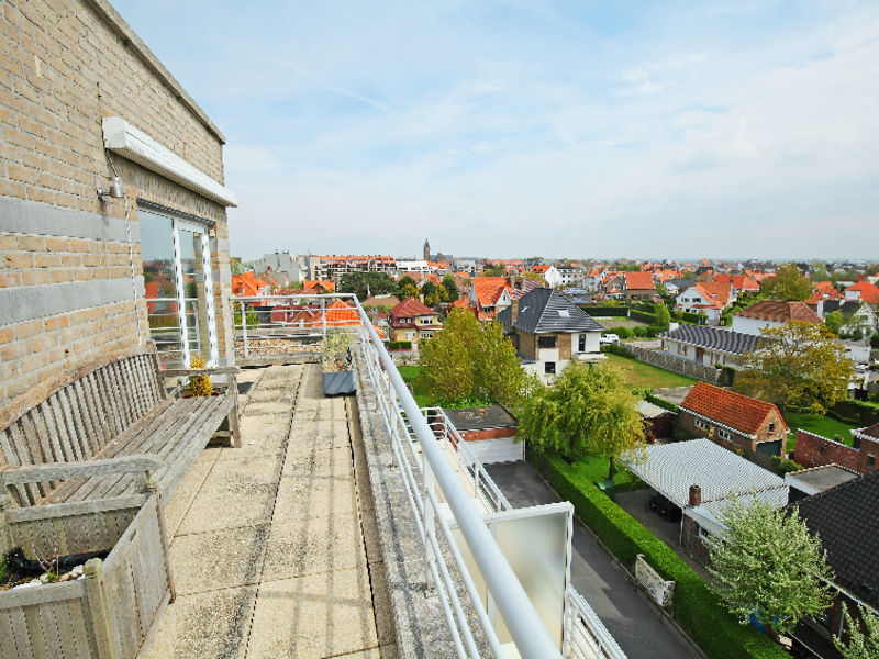 Wilde Zee
