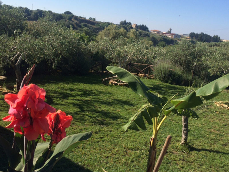 Il Melograno