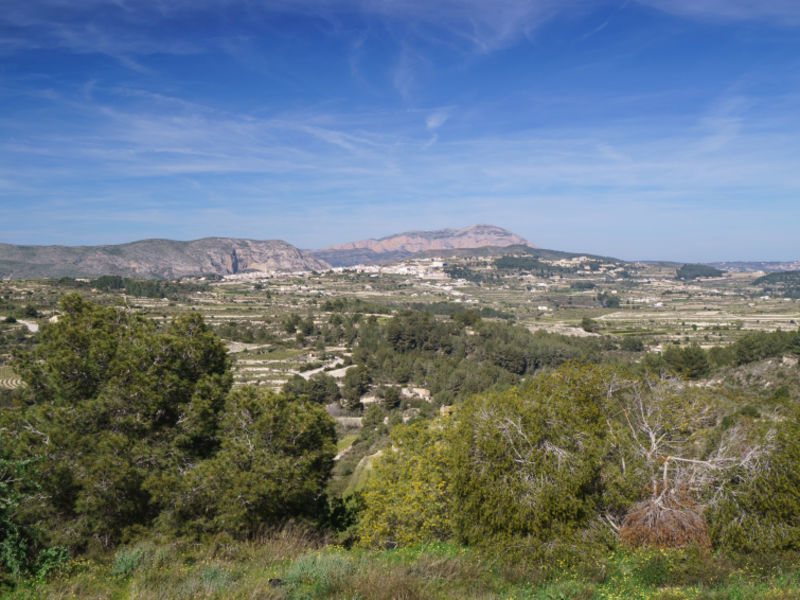 El Sarchal