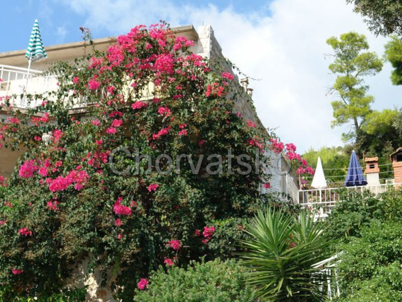 Apartmány Amadea