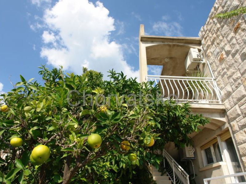 Apartmány Amadea