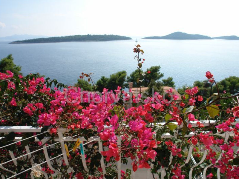 Apartmány Amadea