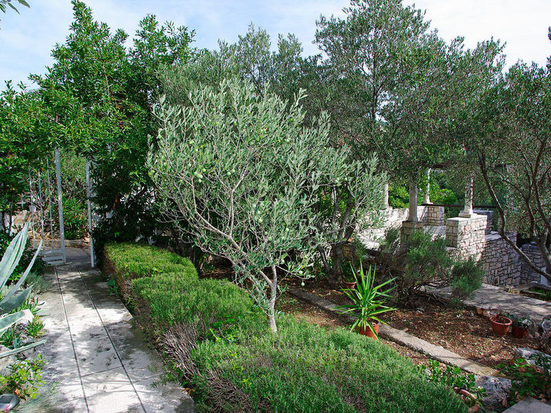 Vila 1563-81