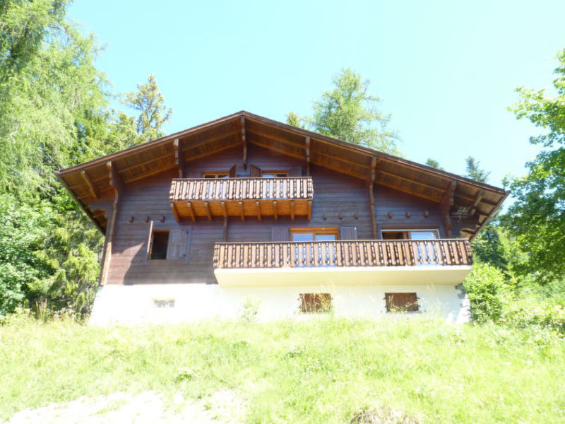 Les Ecureuils