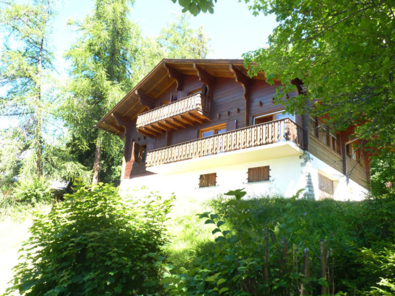 Les Ecureuils