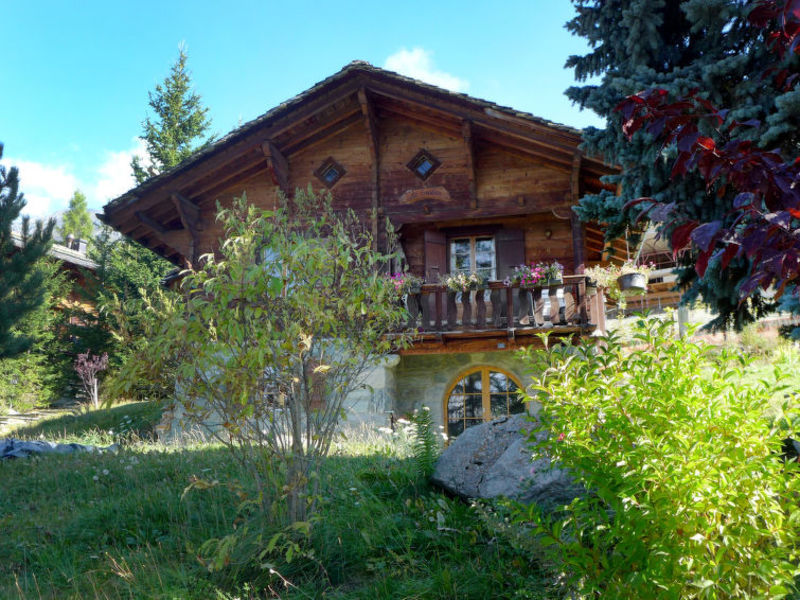 La Tintaz