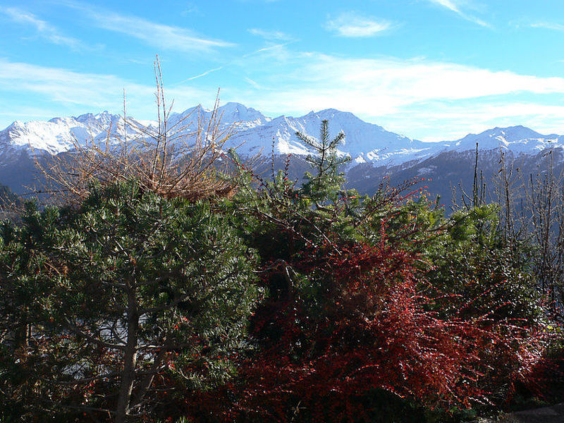 Château Lapin