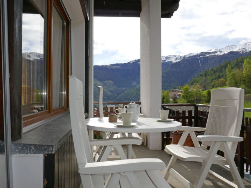 Etoile Des Neiges
