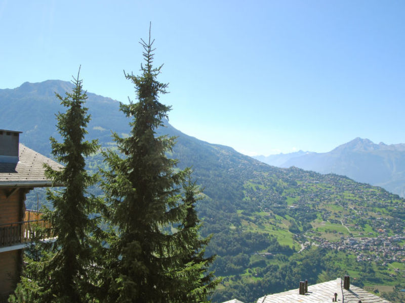 Au Bisse